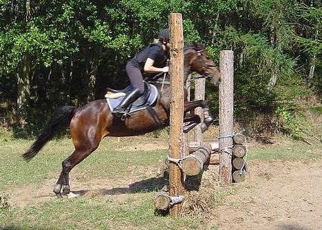 DSP Nickoline - Military! for første gang! Det gik okay, her sprang vi lidt for tidligt! billede 3