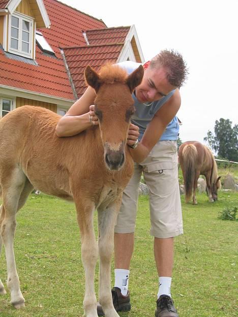 Islænder Tritla Fra Marcu... SOLGT - Min kæreste med Tritla - de kan godt li´ hinanden. billede 10