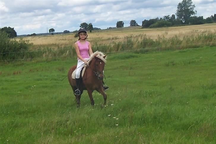 Islænder Tyra Fra Stårup  - d. 23 juli 08. billede 9