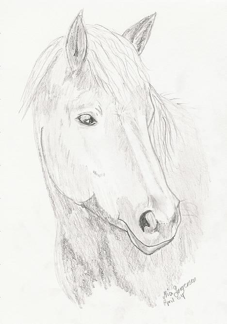 Gotlandsruss Freja - Mia J har tegnet Freja billede 8