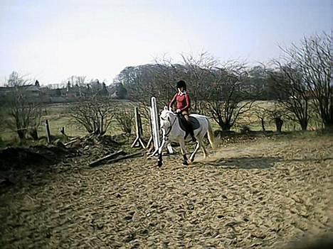 Sportsaraber (A) Tricot R.I.P ;(  - Tricot og Stine billede 1