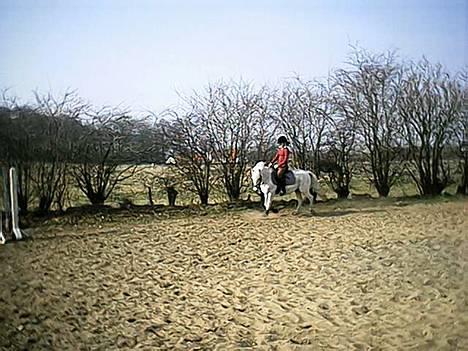 Sportsaraber (A) Tricot R.I.P ;(  - mig og signe 2 billede 7