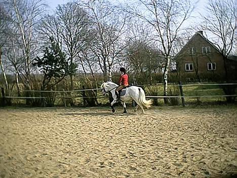 Sportsaraber (A) Tricot R.I.P ;(  - mig og signe billede 6