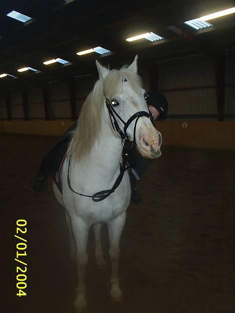 Sportsaraber (A) Tricot R.I.P ;(  - uhhh...det er dejligt det der.... billede 5