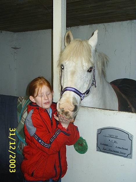 Sportsaraber (A) Tricot R.I.P ;(  - mig og tricot er han ikk dejlig :) billede 2