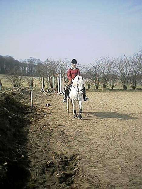 Sportsaraber (A) Tricot R.I.P ;(  - tricot og stine igen billede 3