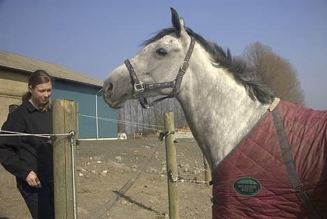 Anden særlig race Bianca billede 3