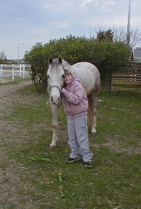 Anden særlig race Janus billede 8