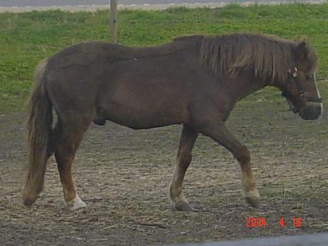 Anden særlig race boy29år ( død.d.19.10.07) - boy ny klippet billede 6