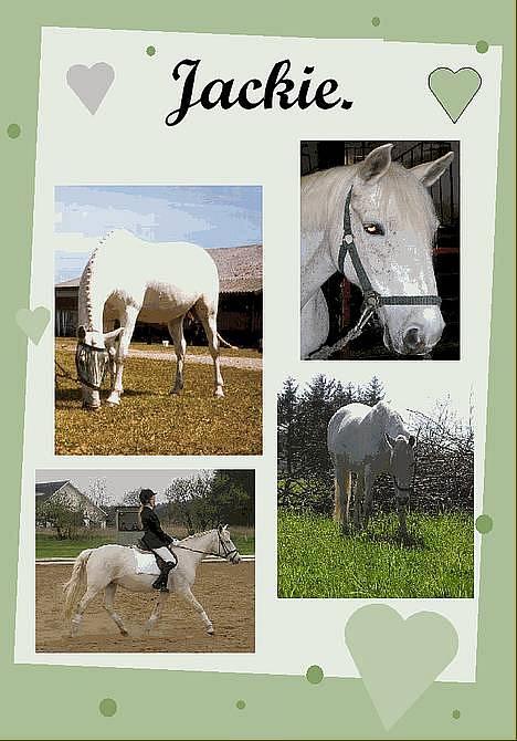 Anden særlig race Jackie - Så er det gamle grimme billede af Jackie slettet : ) Her R oZZ et flot navne-skilt : ) billede 1