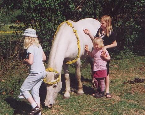 Connemara twiggi munkholm - her er mig og min lille søster det er fra 2000 ca. billede 4