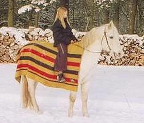 Connemara twiggi munkholm - her er jeg lige ude og ride en lille tur i sneen 2002 billede 8