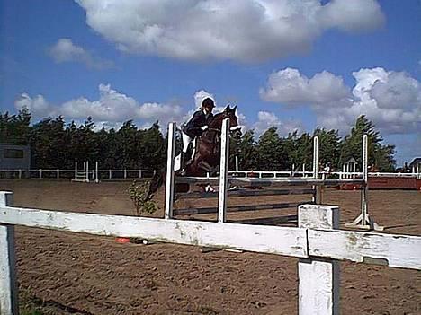 Traver Olfert Speedy - Stævne i Nørhalne, efteråret år 2001.  billede 2