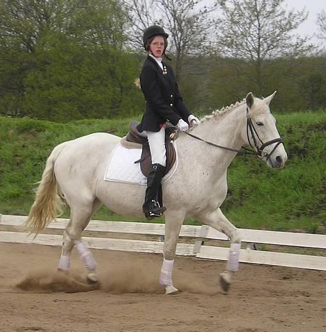 Anden særlig race Jackie - Her er mig og Jackie til stævne i Uggerhalne hvor at vi fik en 10 plads i LC1en hvor at der var 25 i klassen og det var vores første stævne sammen : ) billede 2