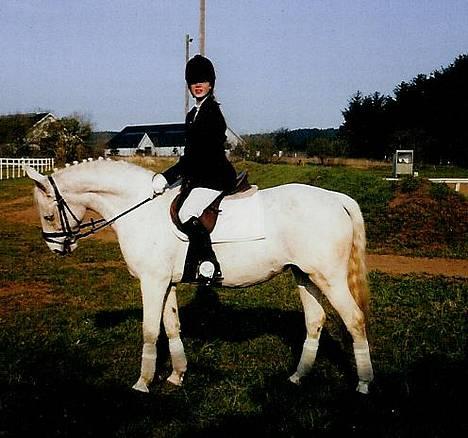 Anden særlig race Jackie - Her er vi til stævne : ) billede 4