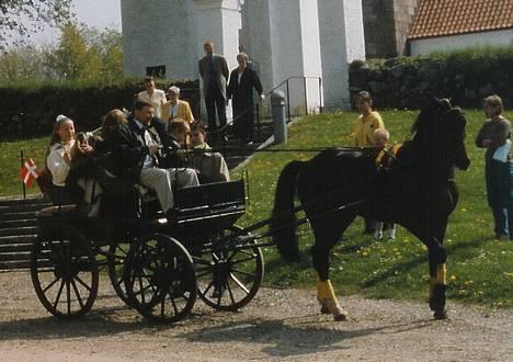Traver Olfert Speedy - Olfert tog røven på mig i 1997, da han stod uden for min dør og ville køre mig i kirke! Mine øjne var ikke tørre i lang tid! billede 5