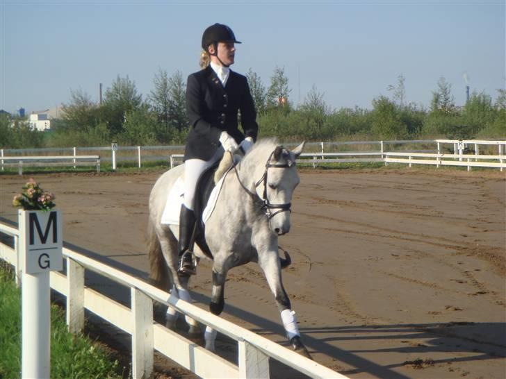 Anden særlig race Stald Speedy's Surprise - Stævne i Jetsmark. billede 3