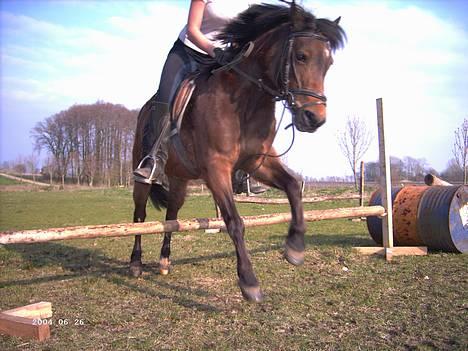 Anden særlig race Lotte - springtræning d. 17 april 2005 billede 2