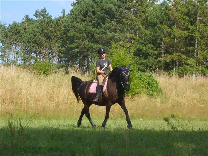 Pinto Monet billede 3