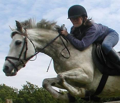 Connemara Skousboe Honey *solgt* - Honey som springer en tribbelbarre på 125 cm. billede 1