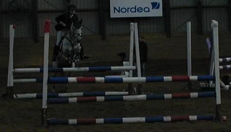 Connemara Skousboe Honey *solgt* - Honey i en LA til et distrikt stævne billede 2