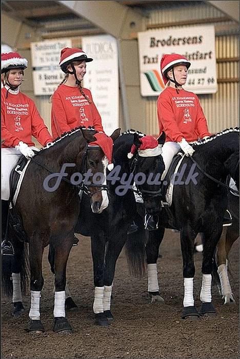 Anden særlig race Shikira (Solgt) billede 8