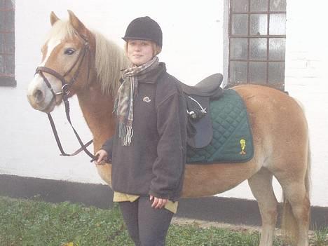 Haflinger Fonzie - død -04. - Fonzie og Kristine, hos hende.. Det var min veninde, der købte ham..:) billede 9