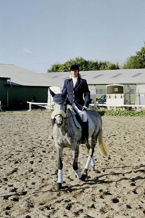 Fuldblod (XX) Karat  - Mig selv til stævne i Albertslund 2003. Er på vej ind på springbanen.. billede 2