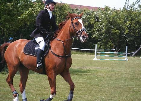 Dansk Varmblod Weronica Højrimmen  - Æresrunde efter 2. pladsen i Brøndby 2004. Min part Eva rider hende... billede 3