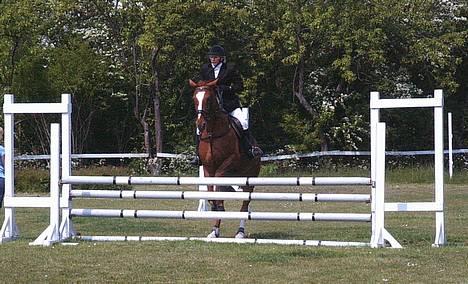 Dansk Varmblod Weronica Højrimmen  - Stævne på Brøndby 2004. Eva og Ronic kommer skam over uden at rive... :-) billede 4