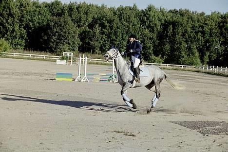 Fuldblod (XX) Karat  - Fuld knald på til et stævne i Albertslund 2003. Hun elsker at løbe stærkt!!! billede 6