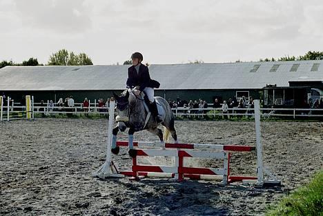 Fuldblod (XX) Karat  - Så blev det Mia Jørgensen´s tur til en klasse i Albertslund 2003. billede 8