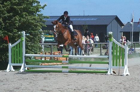 Dansk Varmblod Weronica Højrimmen  - Vestegns Mesterskab på Hvidovre 2004. Min "hjort" blev placeret med min part Eva... billede 5