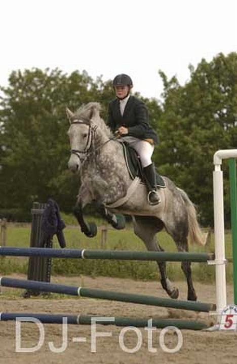 Fuldblod (XX) Karat  - Mia Jørgensen til stævne i Vedbæk 2003.. billede 10