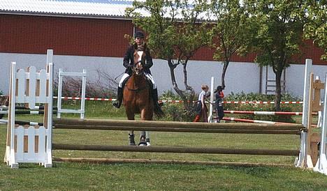 Dansk Varmblod Weronica Højrimmen  - Til stævne i Brøndby 2004. Eva på vej til anden pladsen.. billede 8