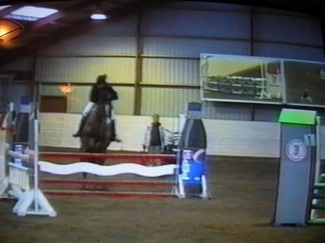 Fuldblod (XX) Dancing Heart - tilstævne i lc billede 5