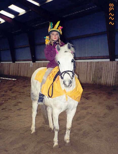 Anden særlig race Bølle - taget i 1998, det år jeg købte ham.. her er vi med til fastelavns halløj på den rideklub hvor jeg står.. billede 4