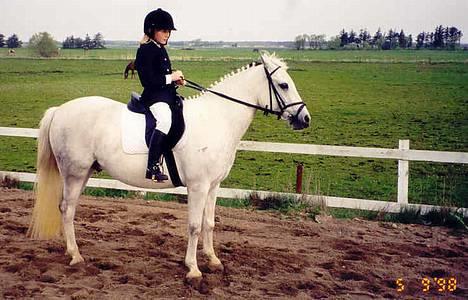 Anden særlig race Bølle - vores første stæve på min rideklub... jeg var lidt lille i starten... også 1998 billede 5