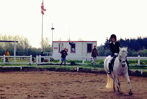 Anden særlig race Bølle - Nu er vi inde på banen...1998 billede 6