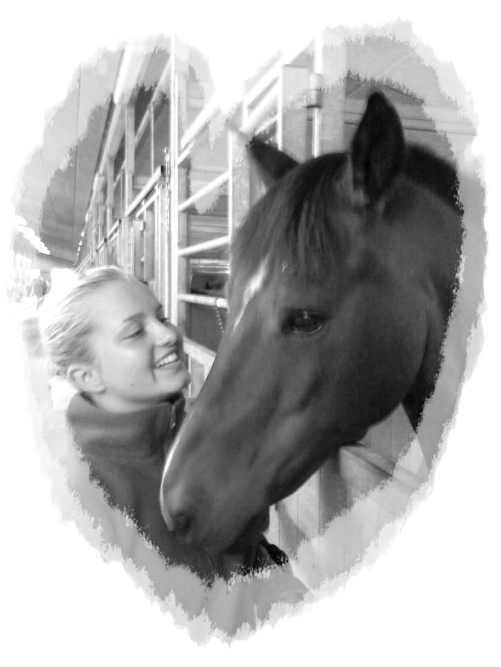 Anden særlig race Jussie *solgt* - <´3  billede 1