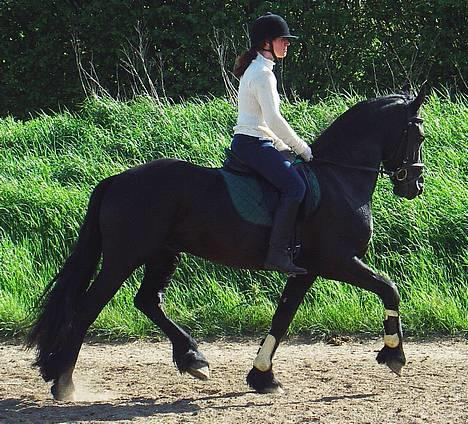 Frieser Arno S. - øvelse gør mester!     Også sommeren 2004 billede 10