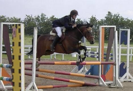 Anden særlig race Jussie *solgt* - se hvor han hopper..... det er han god til.... i boller Mb billede 5