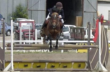 Anden særlig race Jussie *solgt* - hov.. hehe i boller La billede 9