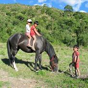 Anden særlig race Santos