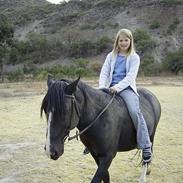 Anden særlig race Santos