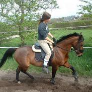 Anden særlig race Daisy (solgt) :(