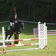 DSP sønderlunds salina*solgt*