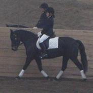 New Forest Thantelle af Damagergård