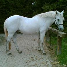 Connemara Skousboe Rock star