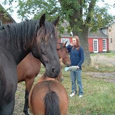 Anden særlig race Moonlight Shadow